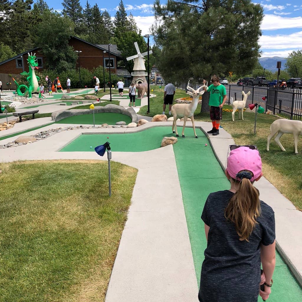 Dinosaur-Themed Adventure