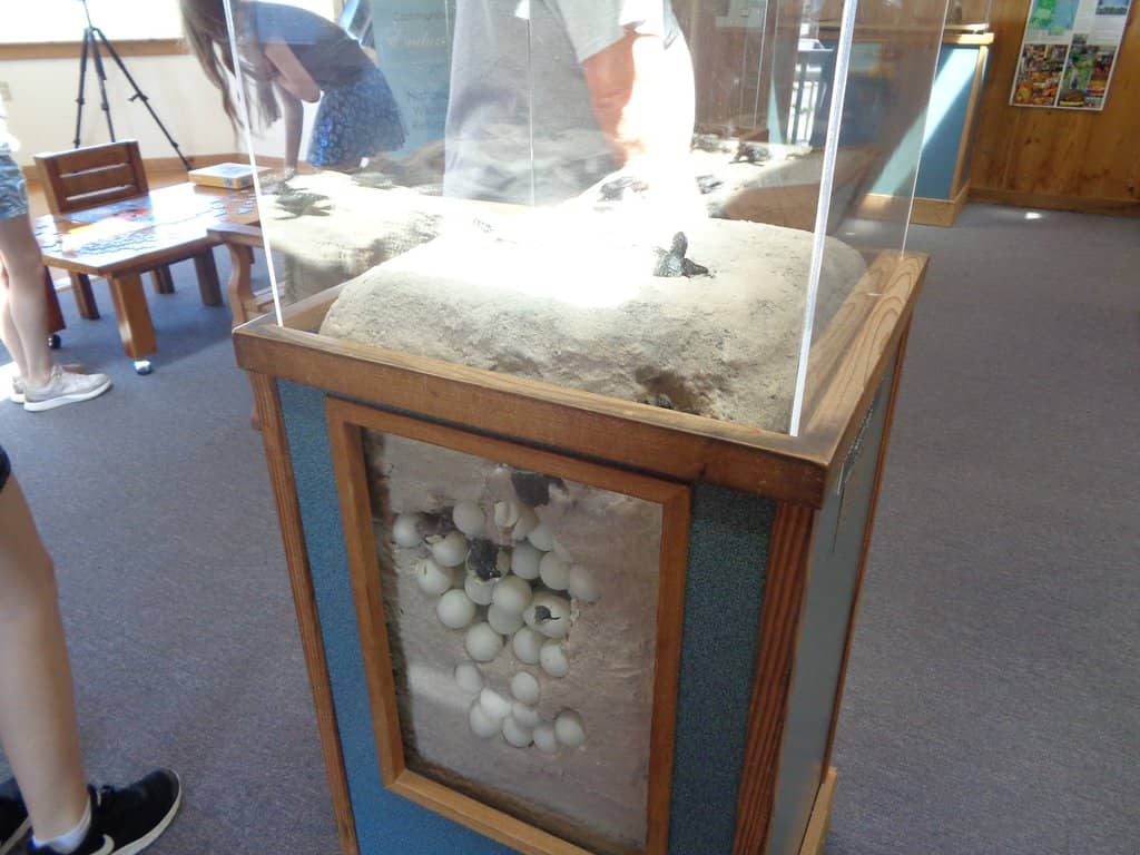 Uncrowded Beach Access