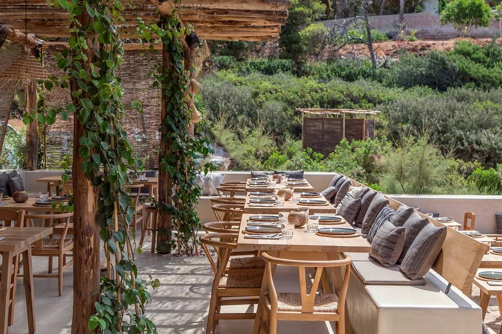 Baby Sharks in the Bay