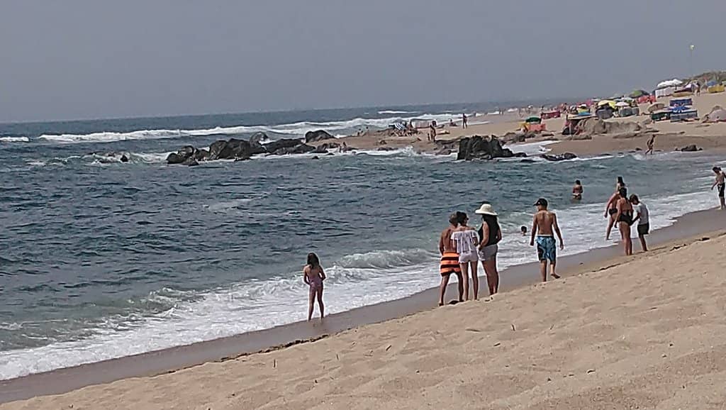 Expansive Sandy Shores