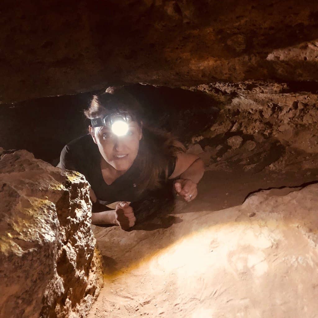 Underground Wildlife Protection