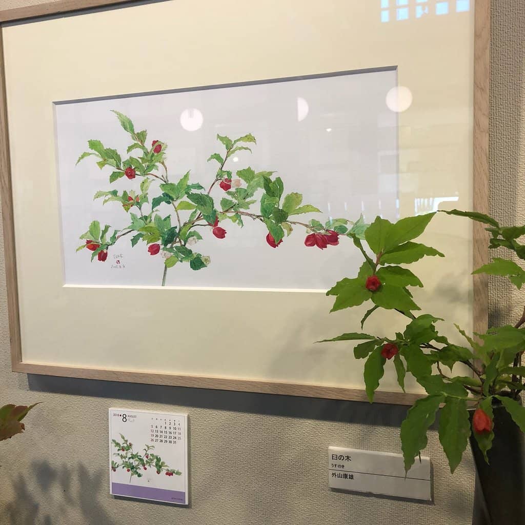 Yukimuro (Snow Room) Experience