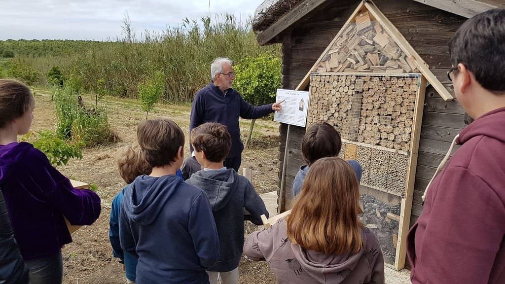 Wine Tasting Experience