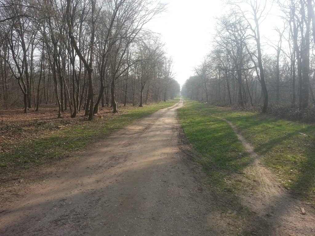 Fête des Loges Funfair