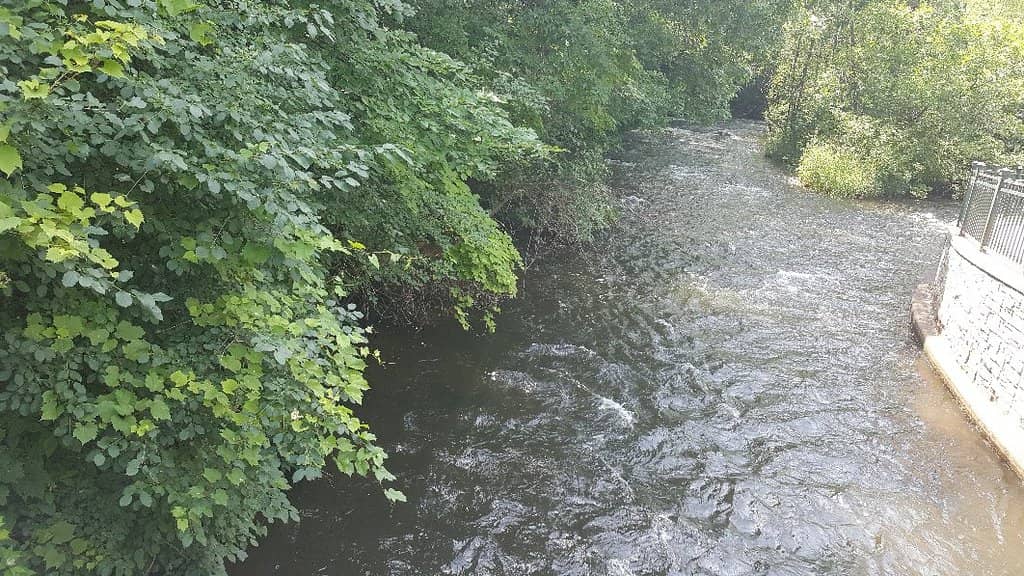 Frozen Winter Wonderland