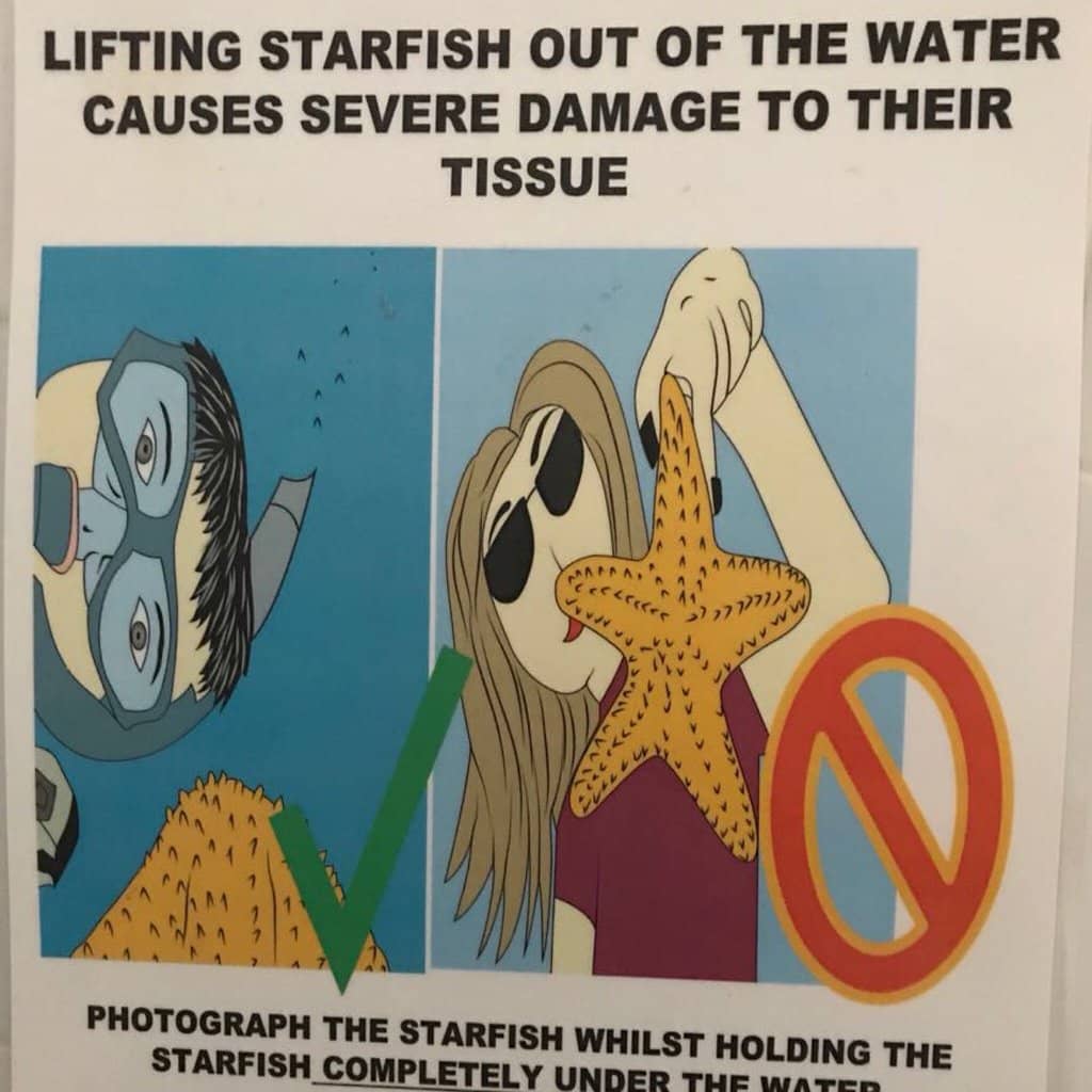 Crystal-Clear Waters