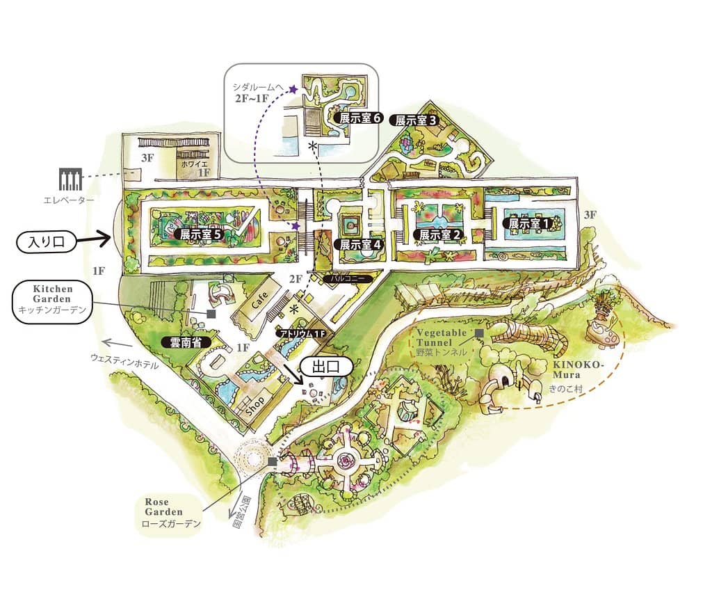 Carnivorous Plant Exhibition