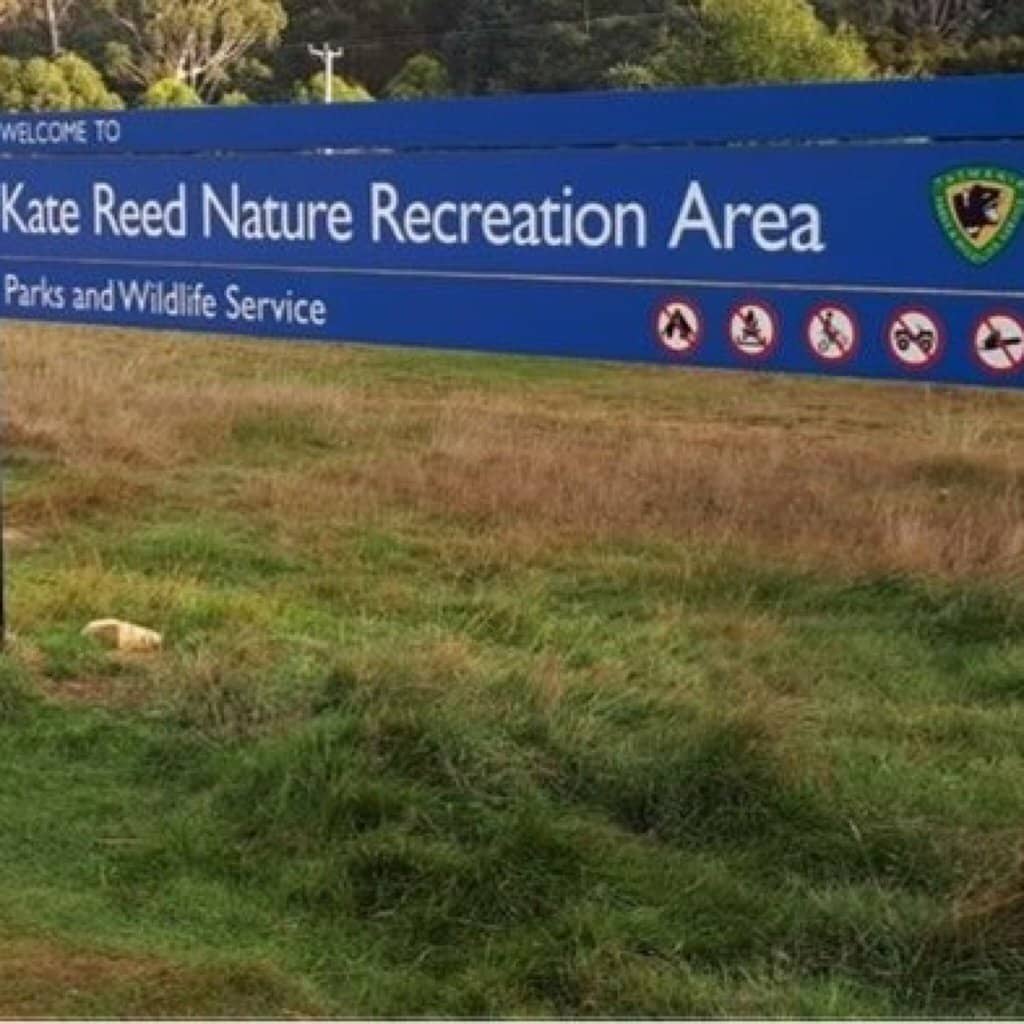 Whispering Pines Trail