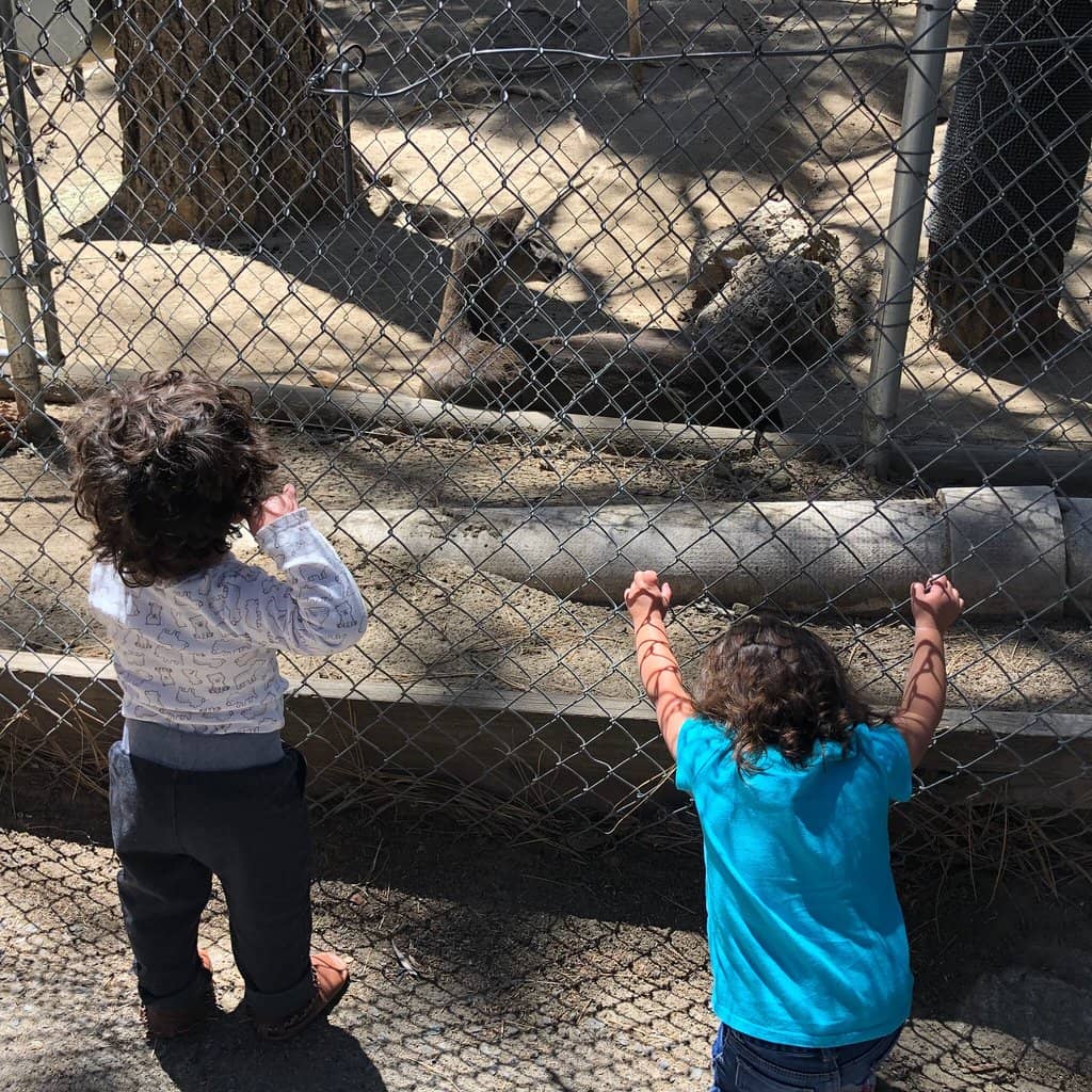 Educational Demonstrations