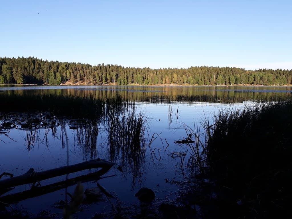 Hiking Trail Adventures