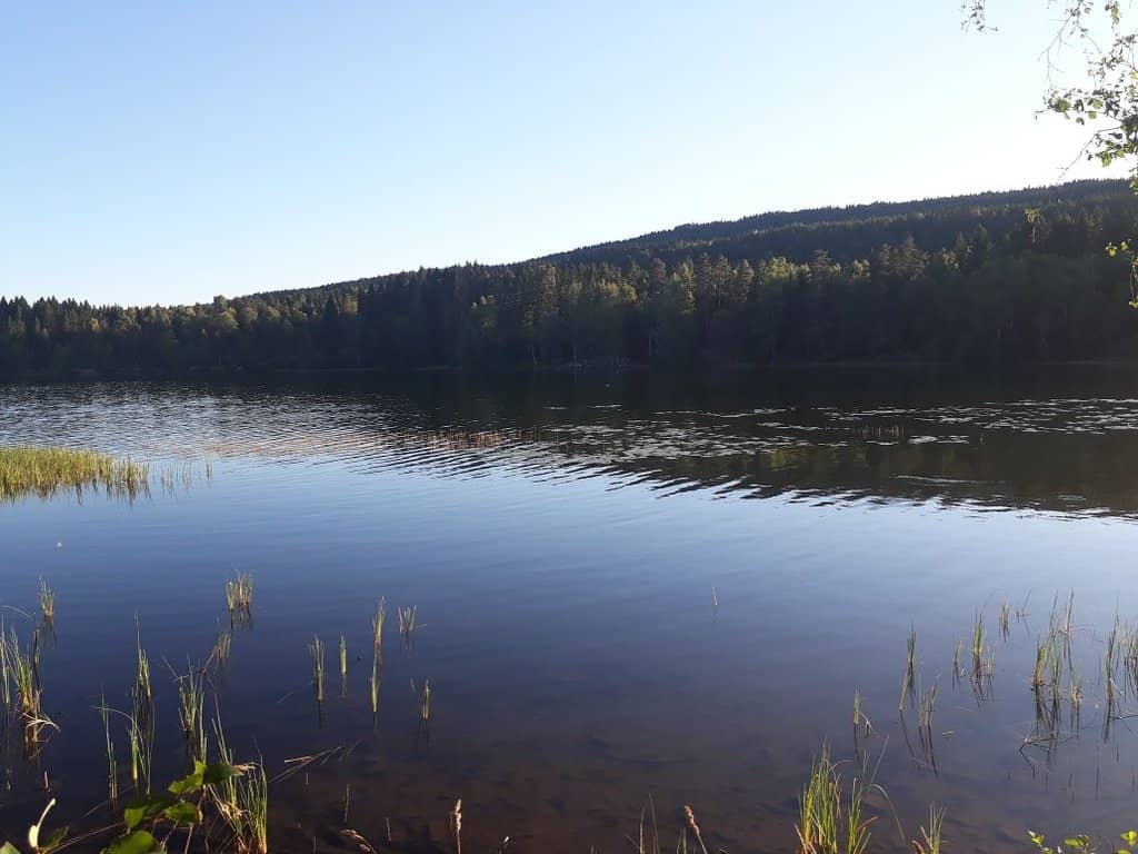 Winter Cross-Country Skiing