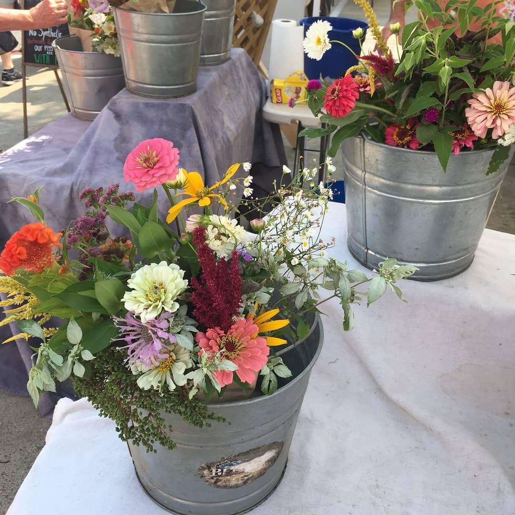 Live Music & Chef Demos