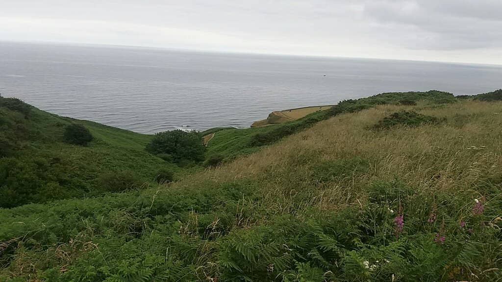 Whitby to Robin Hood's Bay