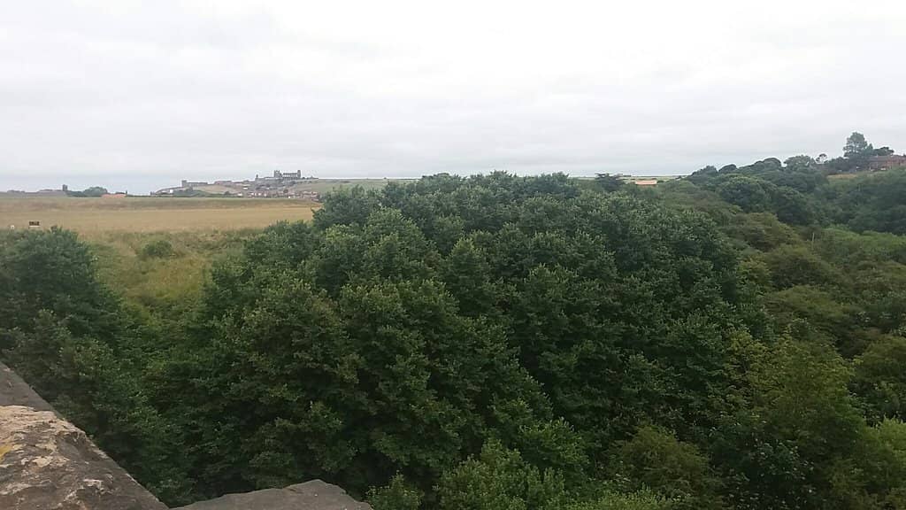 Larpool Viaduct