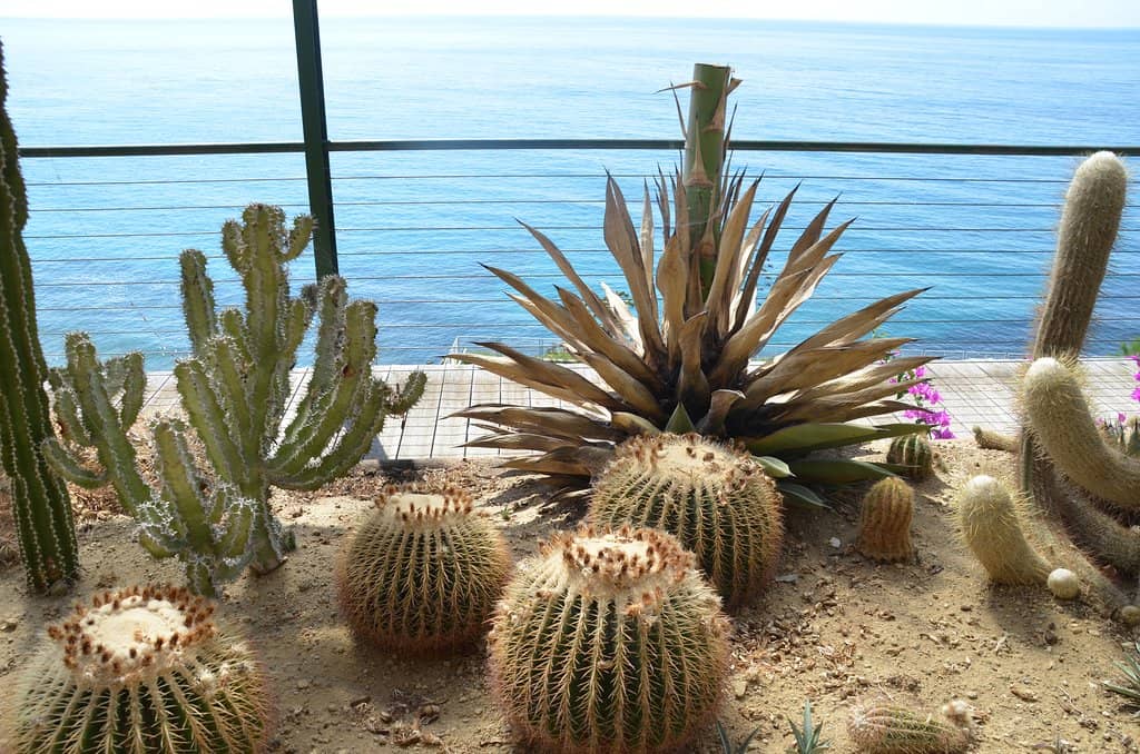 Mediterranean Sea Views