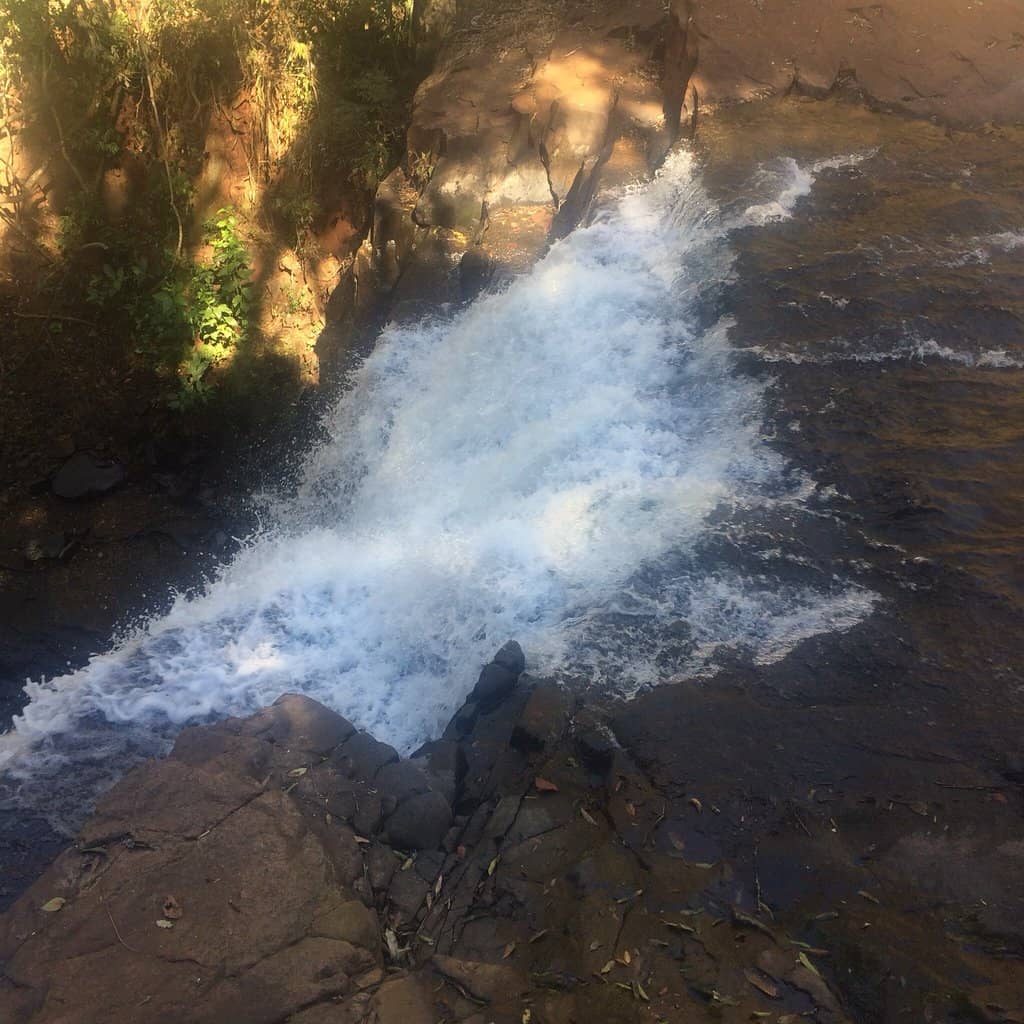 Biodiversity Spotting