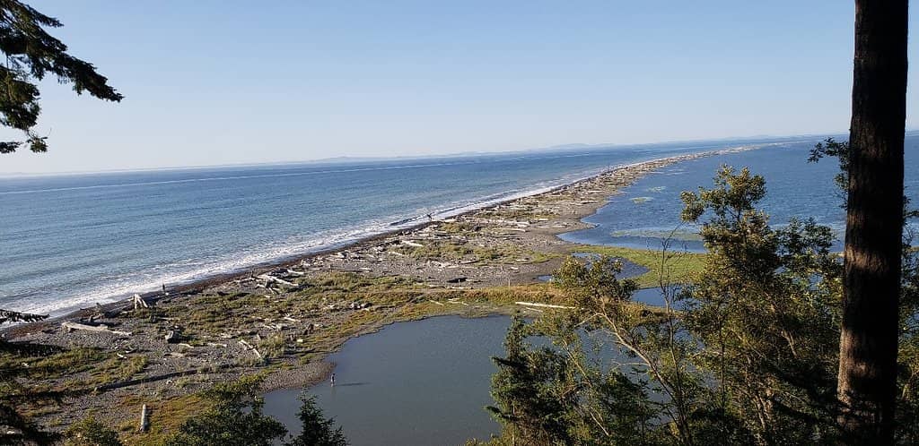 New Dungeness Lighthouse