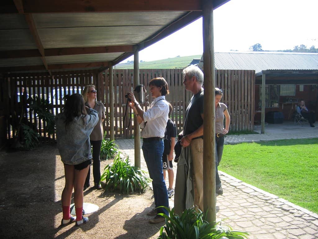 Interactive Bird Shows