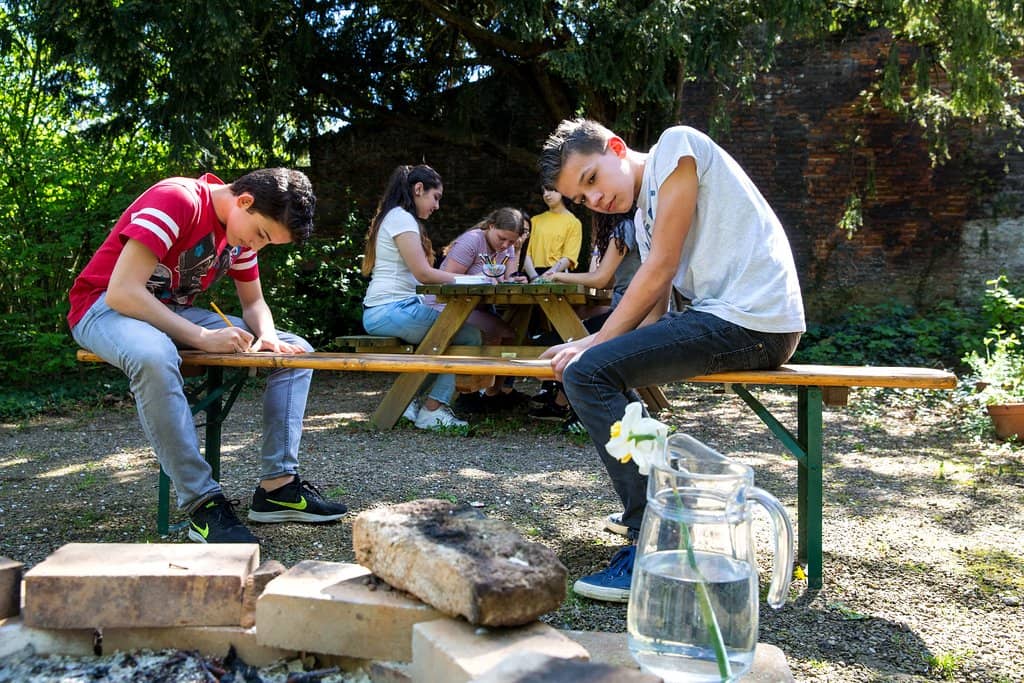 Exhibitions and Art Installations