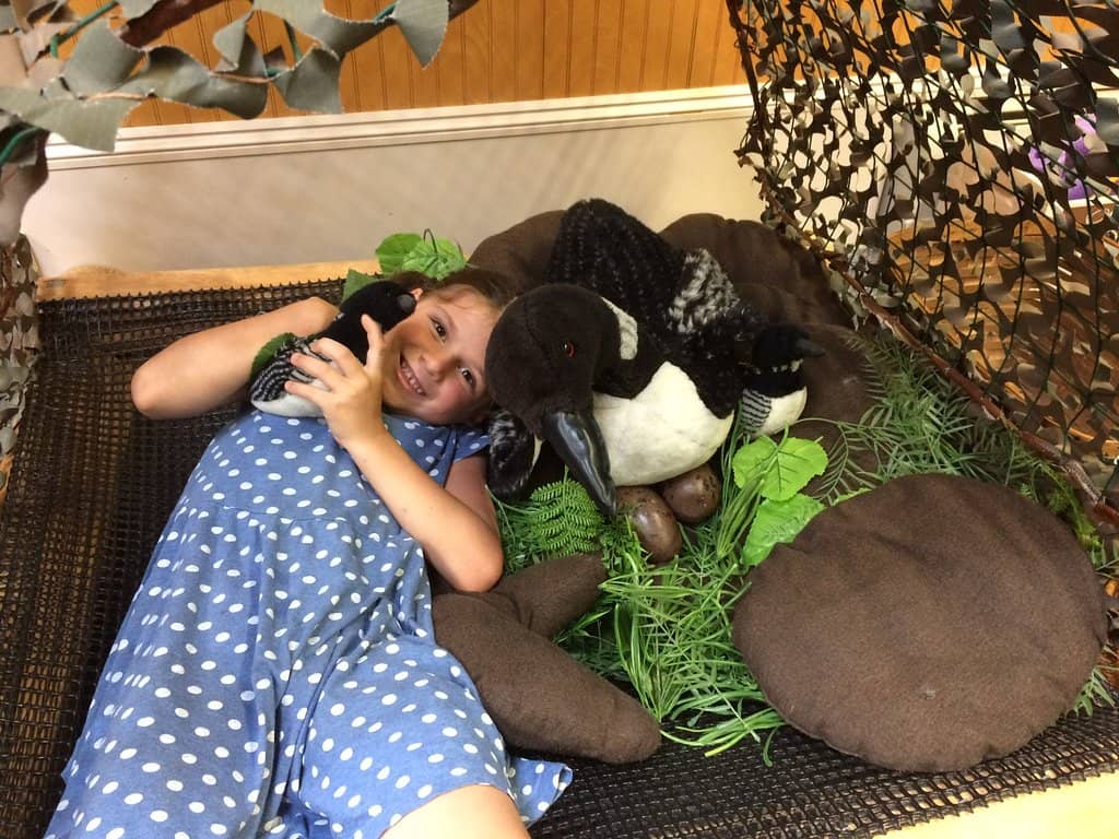 Loon Lifecycle Education