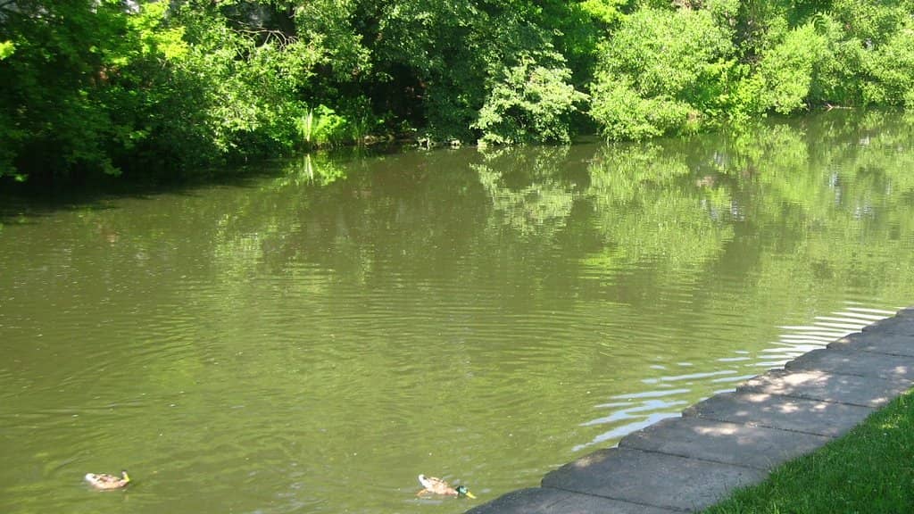 Koygorodok-Koydin Bridge