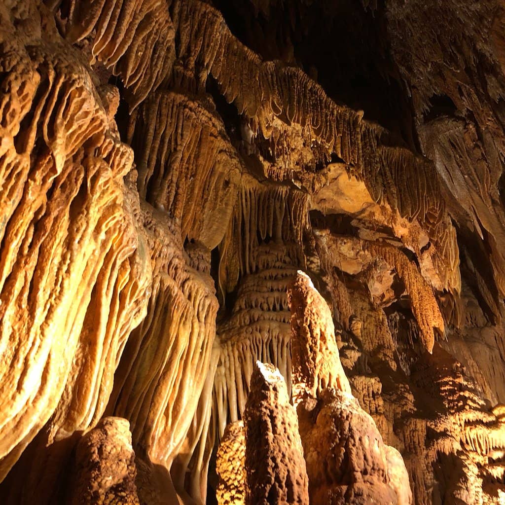 Nature Trail & Lake Views
