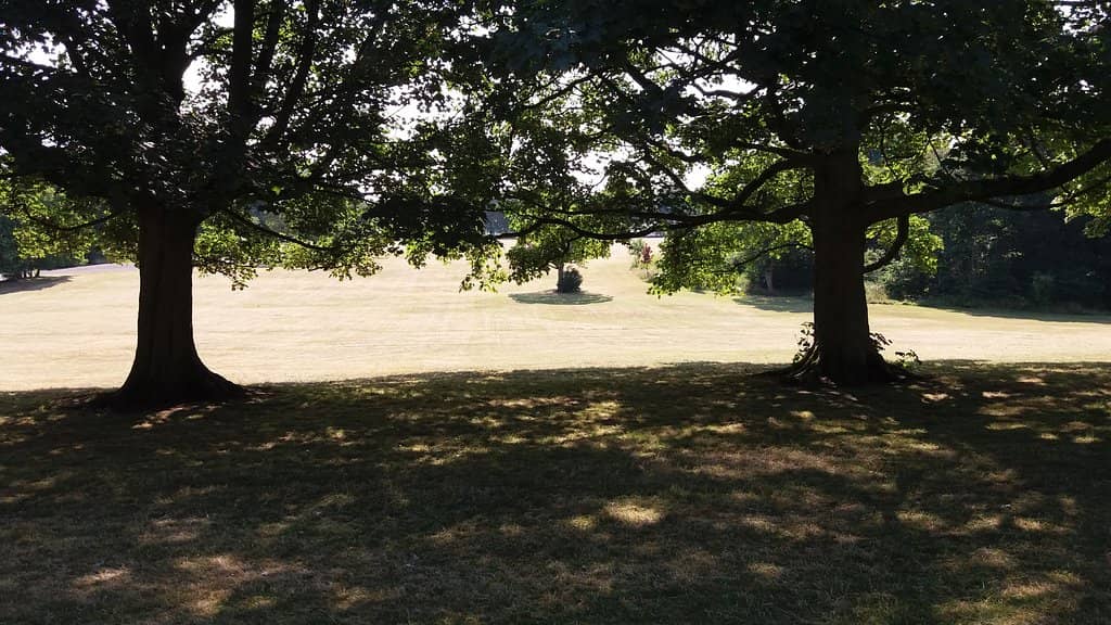 Playgrounds & Outdoor Gym