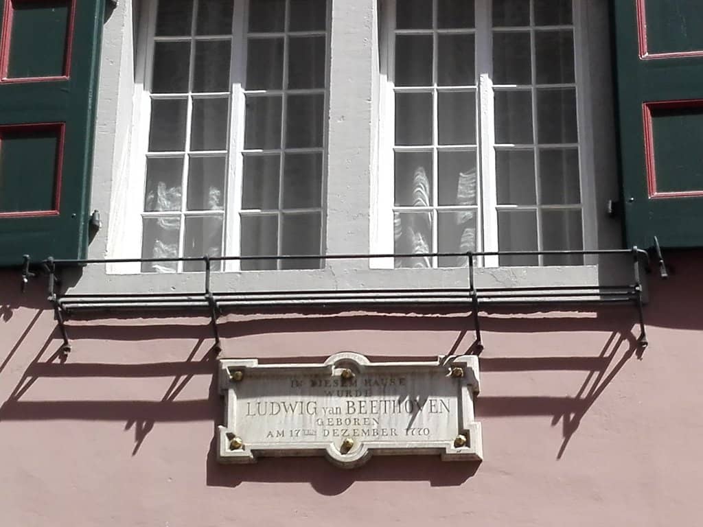 Peaceful Courtyard Garden