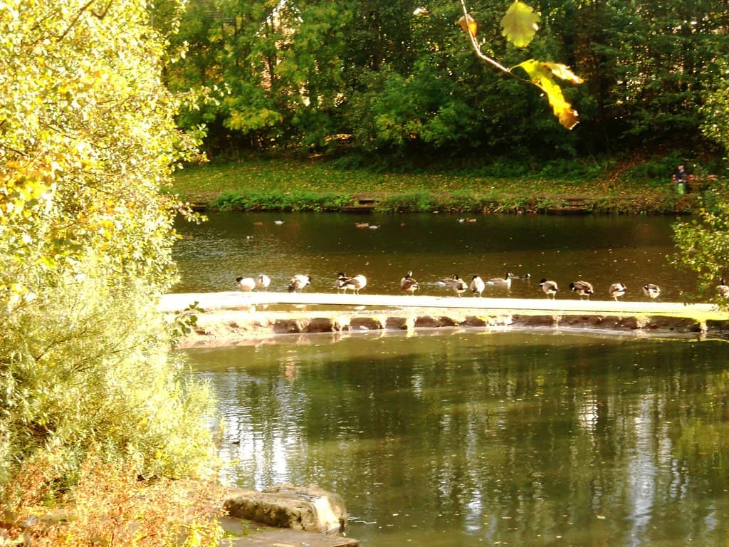 Vibrant Playgrounds & Skate Park