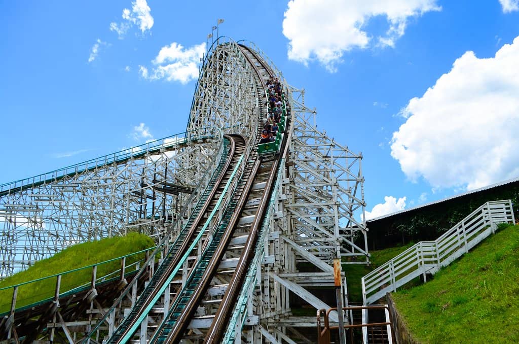 The Thrilling Roller Coasters