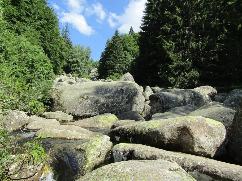 Hike to Boyana Waterfall