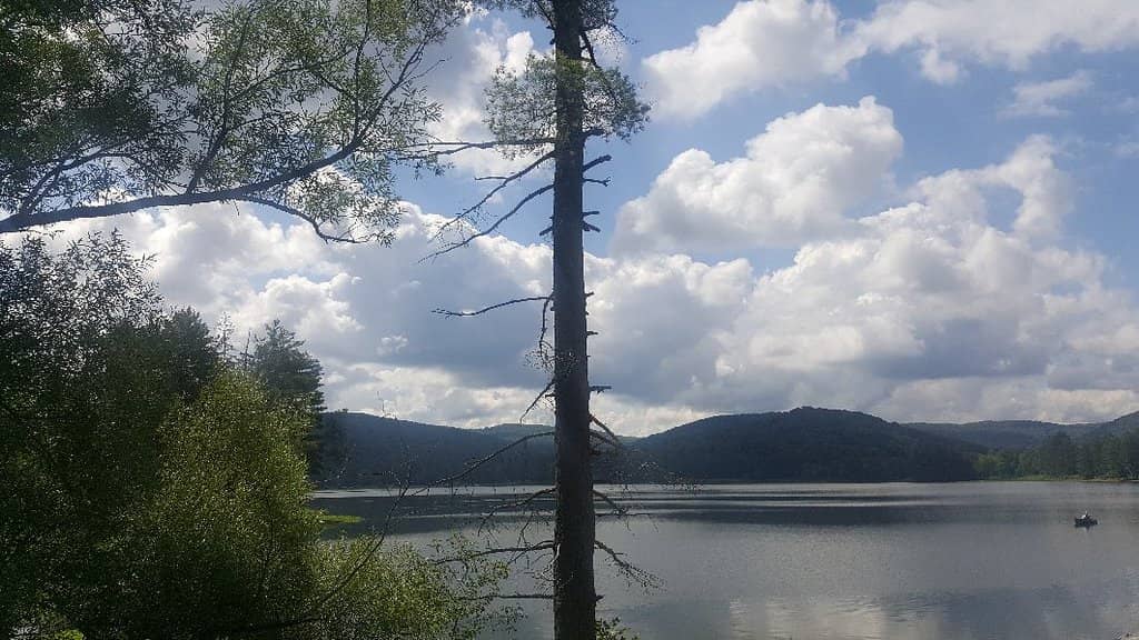 Lake and Creek Adventures