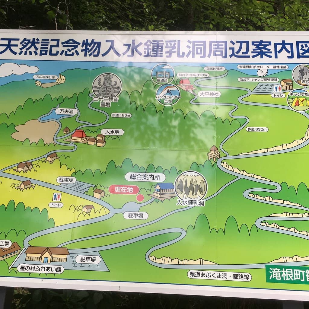 Bat Colony Encounters