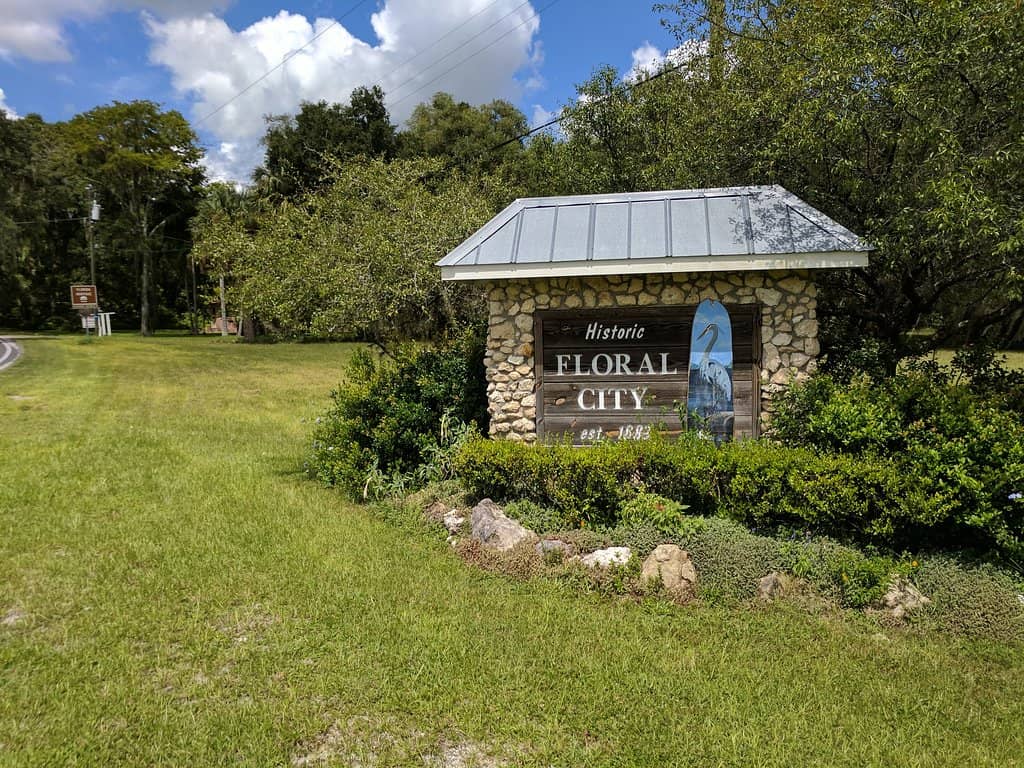 Knowledgeable Volunteers