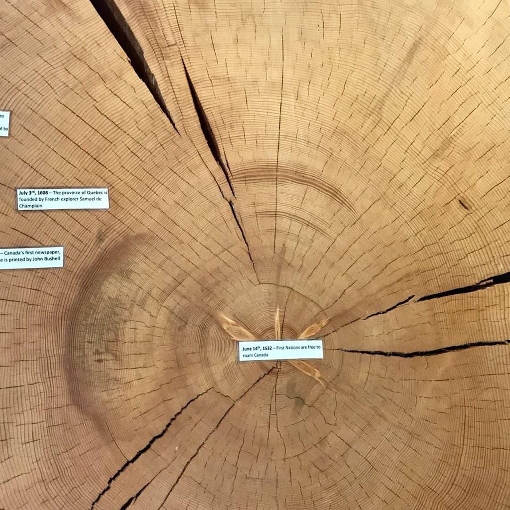 Revelstoke Dam Viewpoint