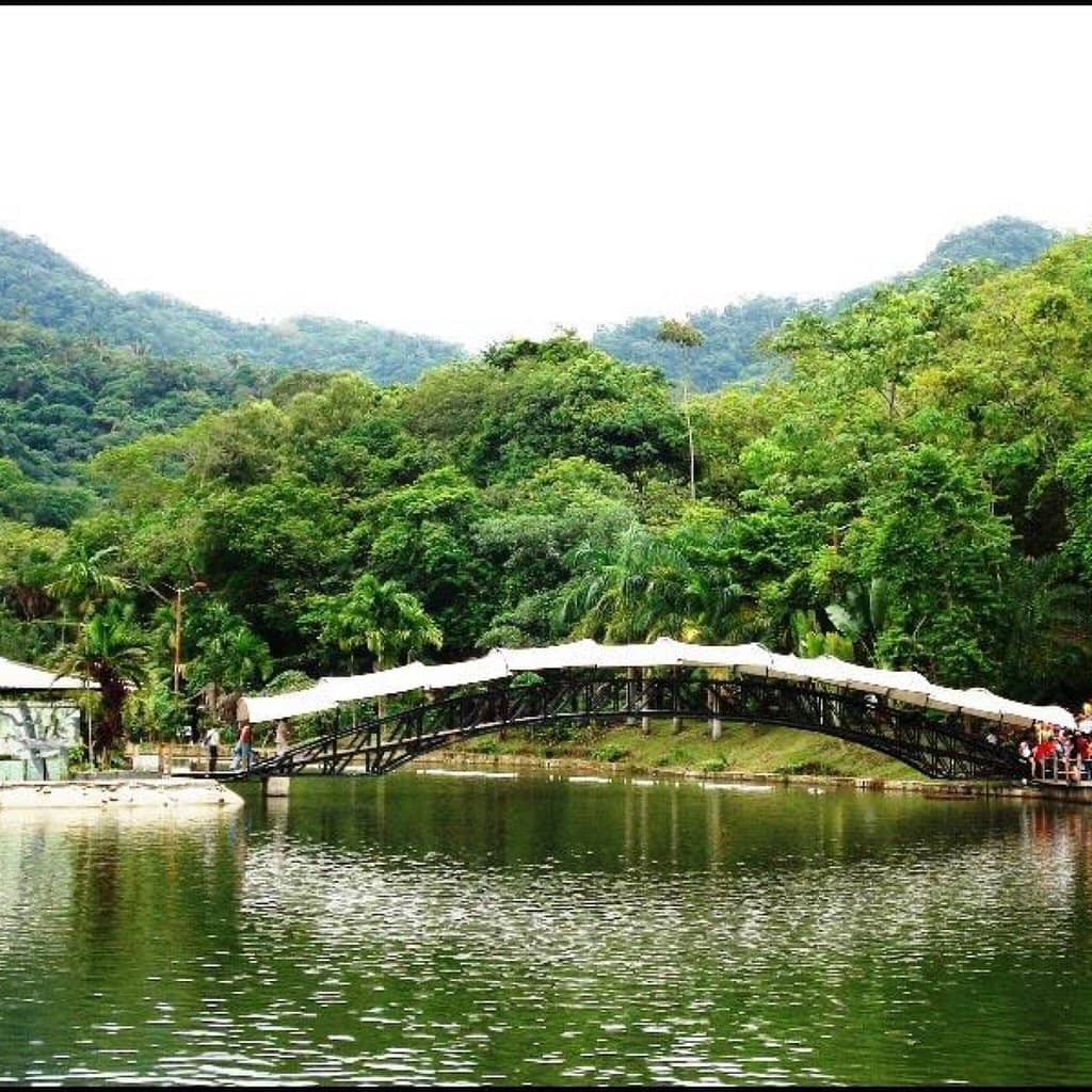 Tranquil Lake and Water Activities