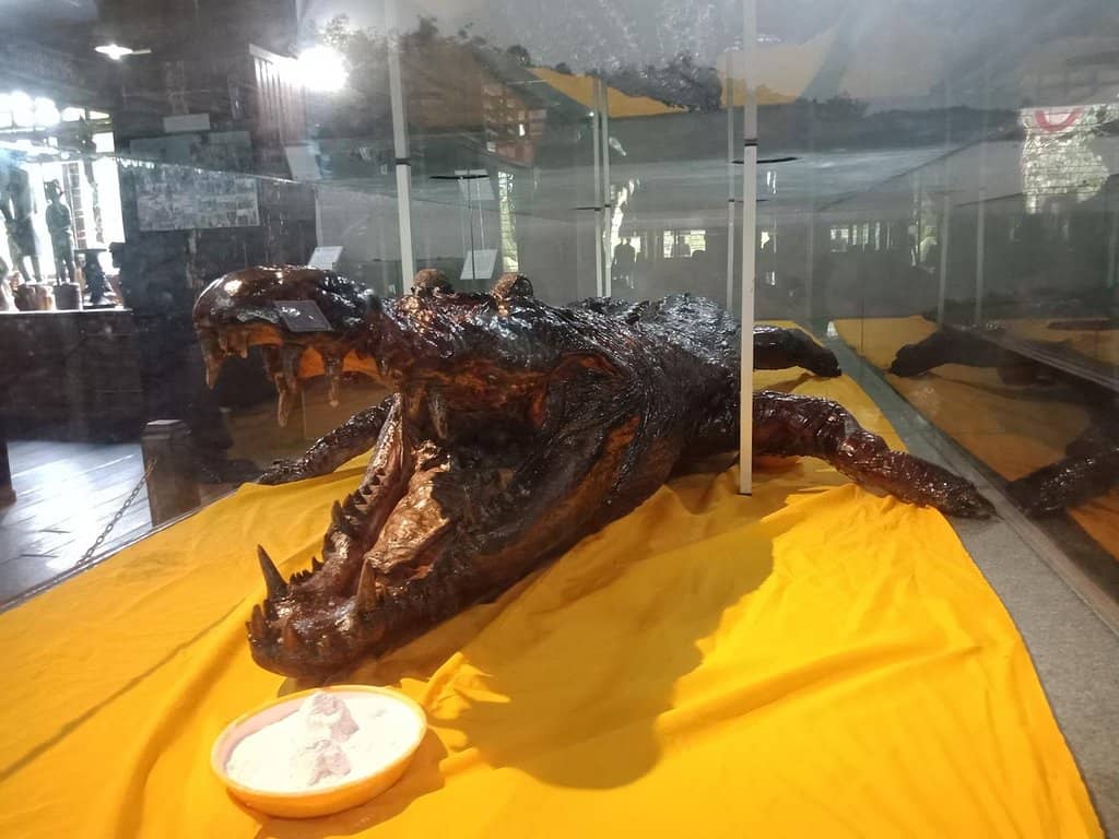 Ulin Wood Architecture