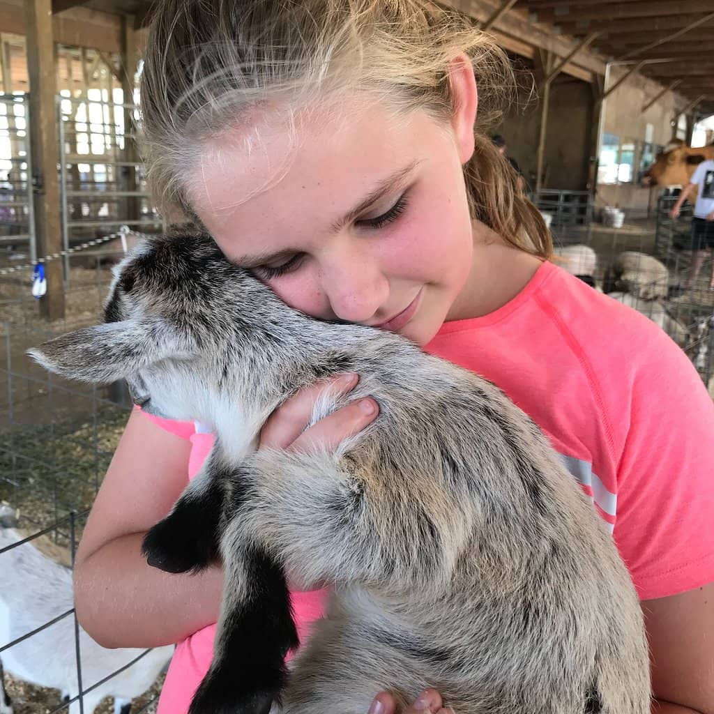 Amish Crafts & Goods