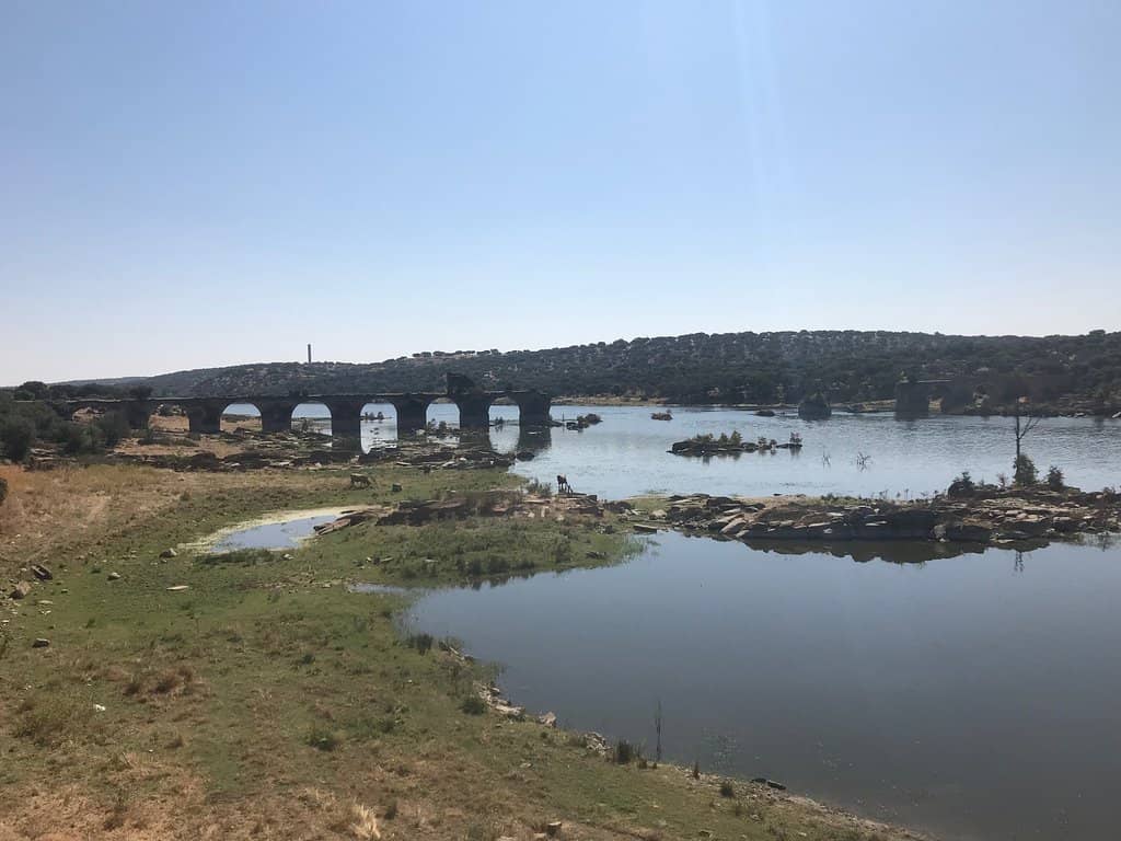 Photographic Opportunity