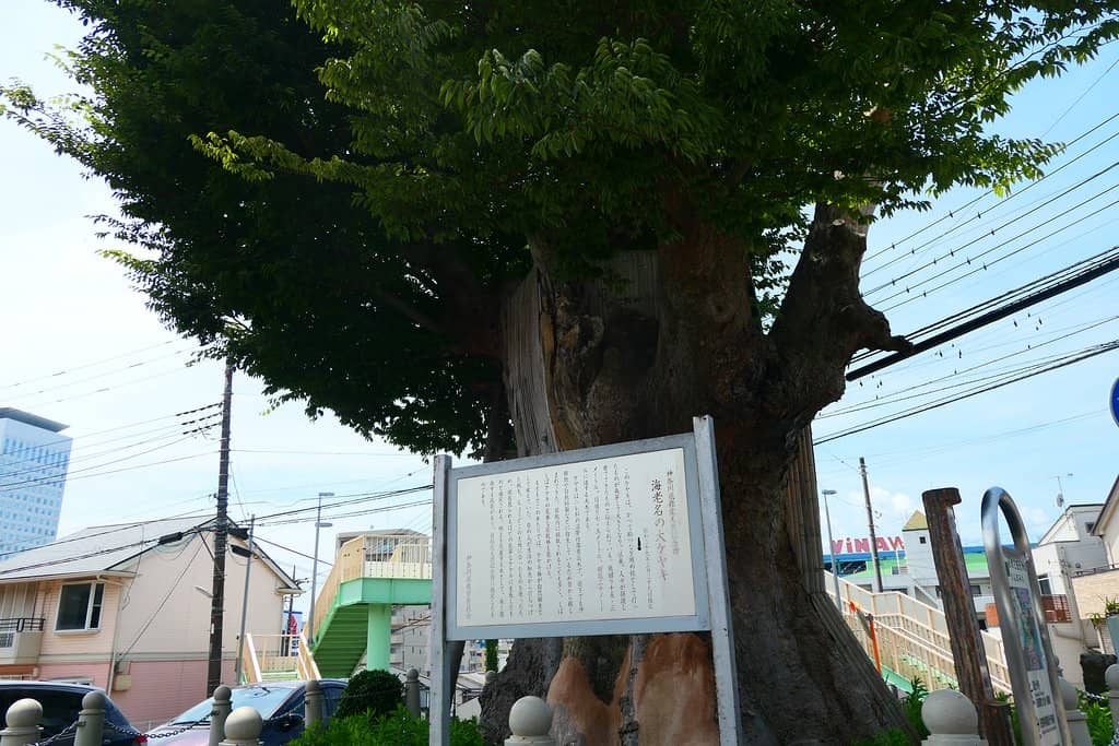 Reconstructed Seven-Story Pagoda