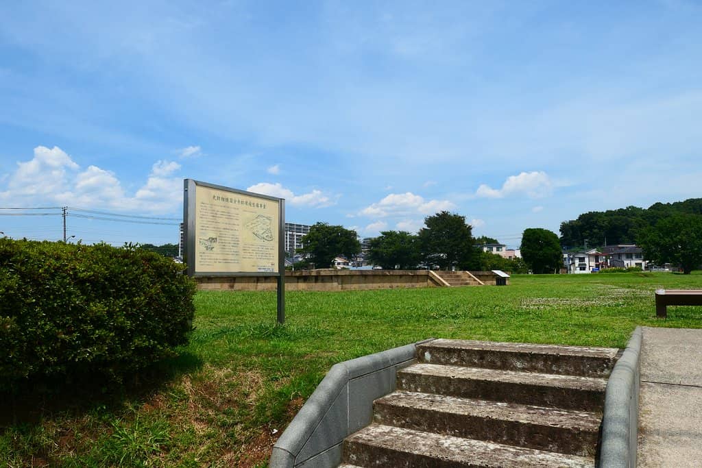 Panoramic City Views