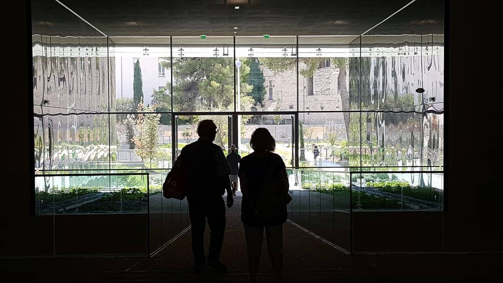 Rooftop Garden Views