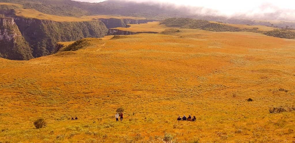 Cascading Waterfalls