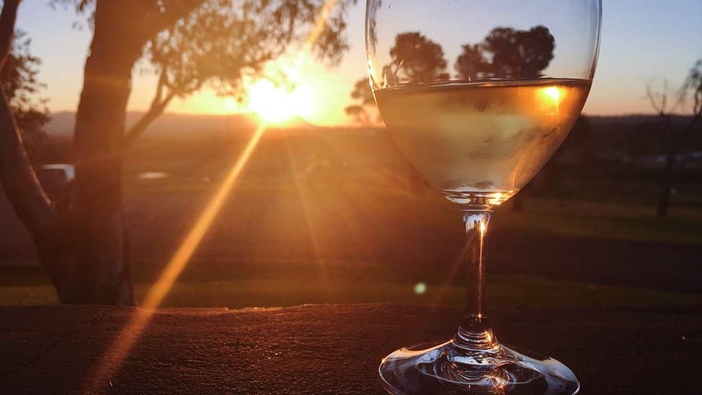 Vineyard Views & Wildlife