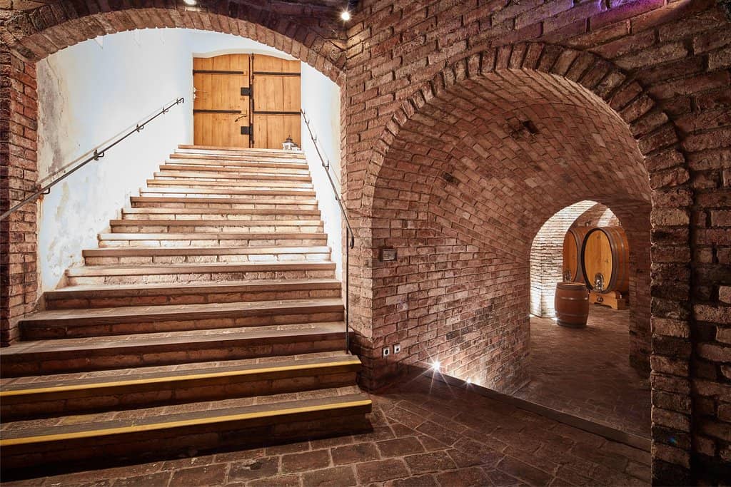 Family-Friendly Tour