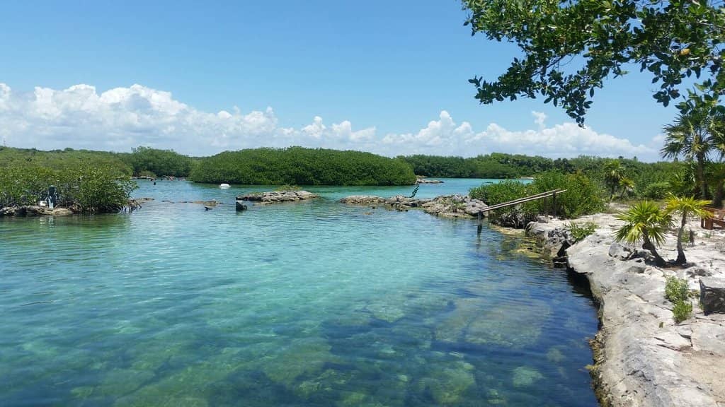 Crystal Clear Snorkeling