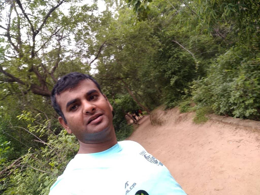 Dinosaur Park & Fossil Exhibits