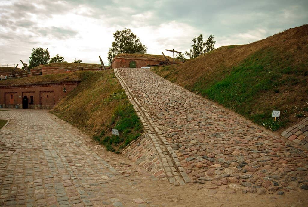 Penguin & Seal Enclosures