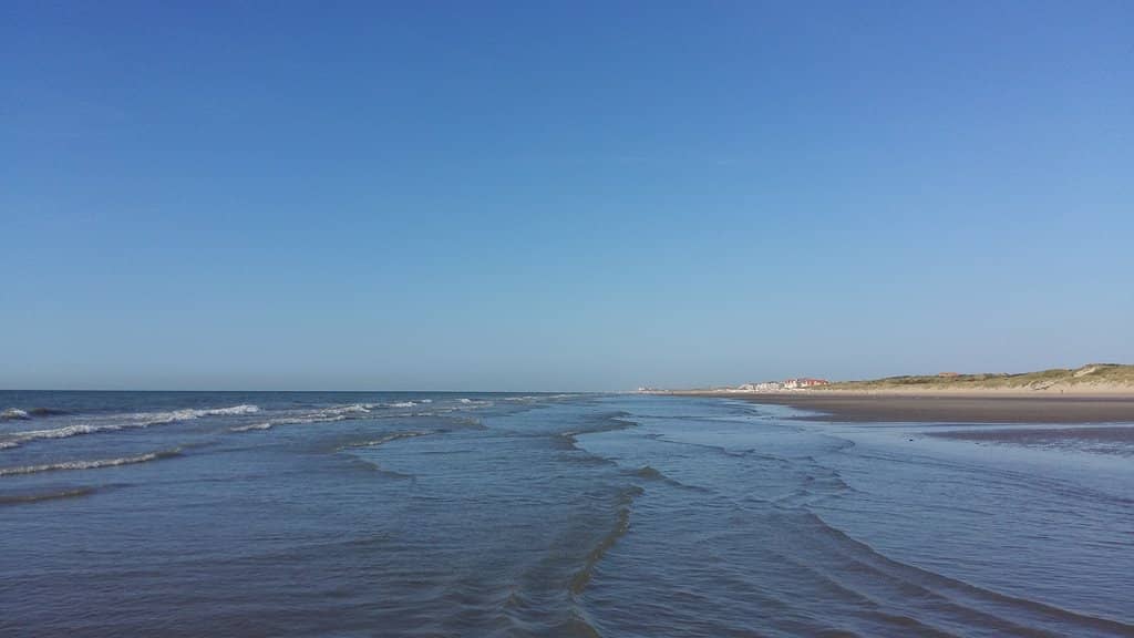 Dunes and Beach Grass