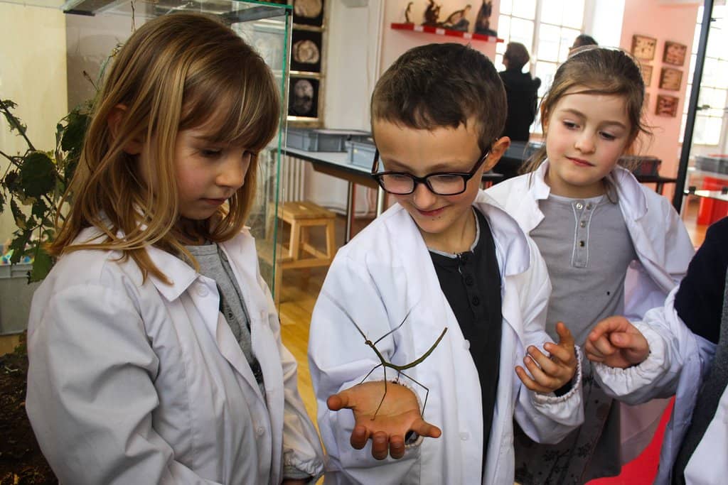 Children's Activities